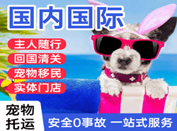 武夷山机场快递国际宠物托运 【国